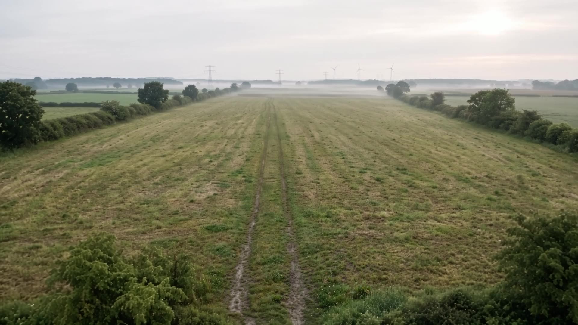 An open field at dawn with a farm track running to the horizon, mist over the hedges