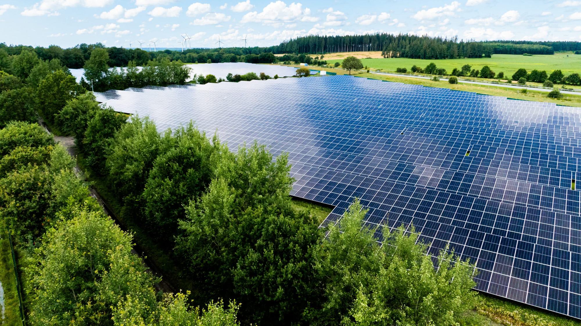 Aerial view of a greentech solar park behind a row of green trees, with fields, forest and wind turbines on the horizon under a blue sky with white clouds