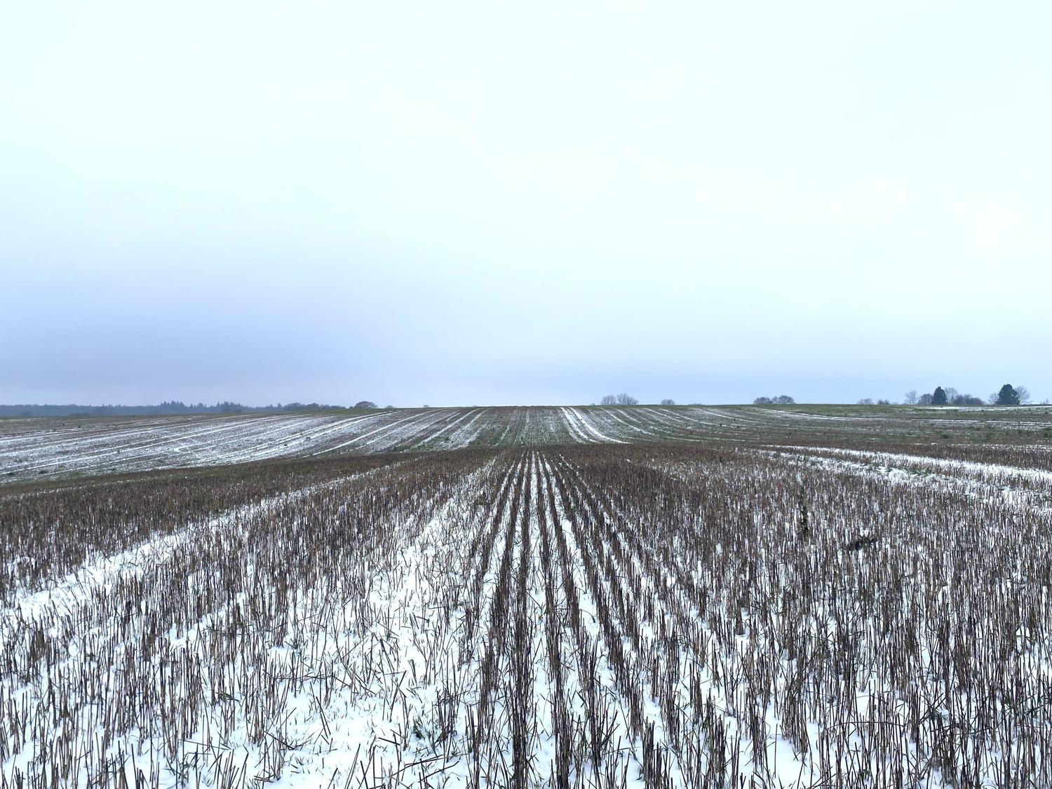 Open farmland with crop stubble under light snow and a pale winter sky.